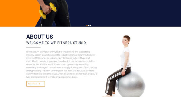 The WP Fitness - Image 2